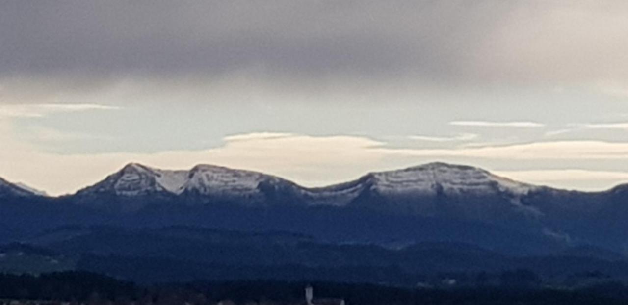 Alpenblick Daire Leutkirch im Allgäu Dış mekan fotoğraf